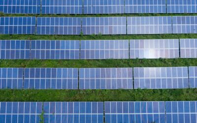 Guía para elegir placas solares: qué tipos hay, cuál es su eficiencia, cómo funcionan y cuánto permiten ahorrar